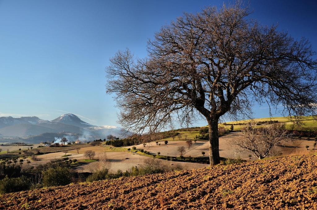 Hotel Il Boschetto Tolentino Bagian luar foto